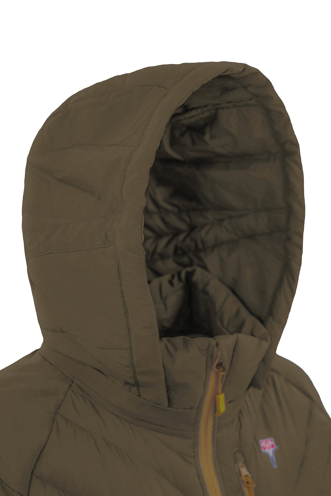 Downwool Jacke Kapuze Grün