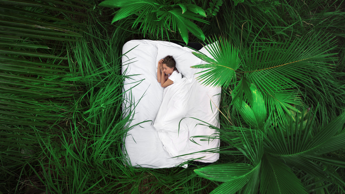 DownWool Dreams Duvet Summer BioCotton